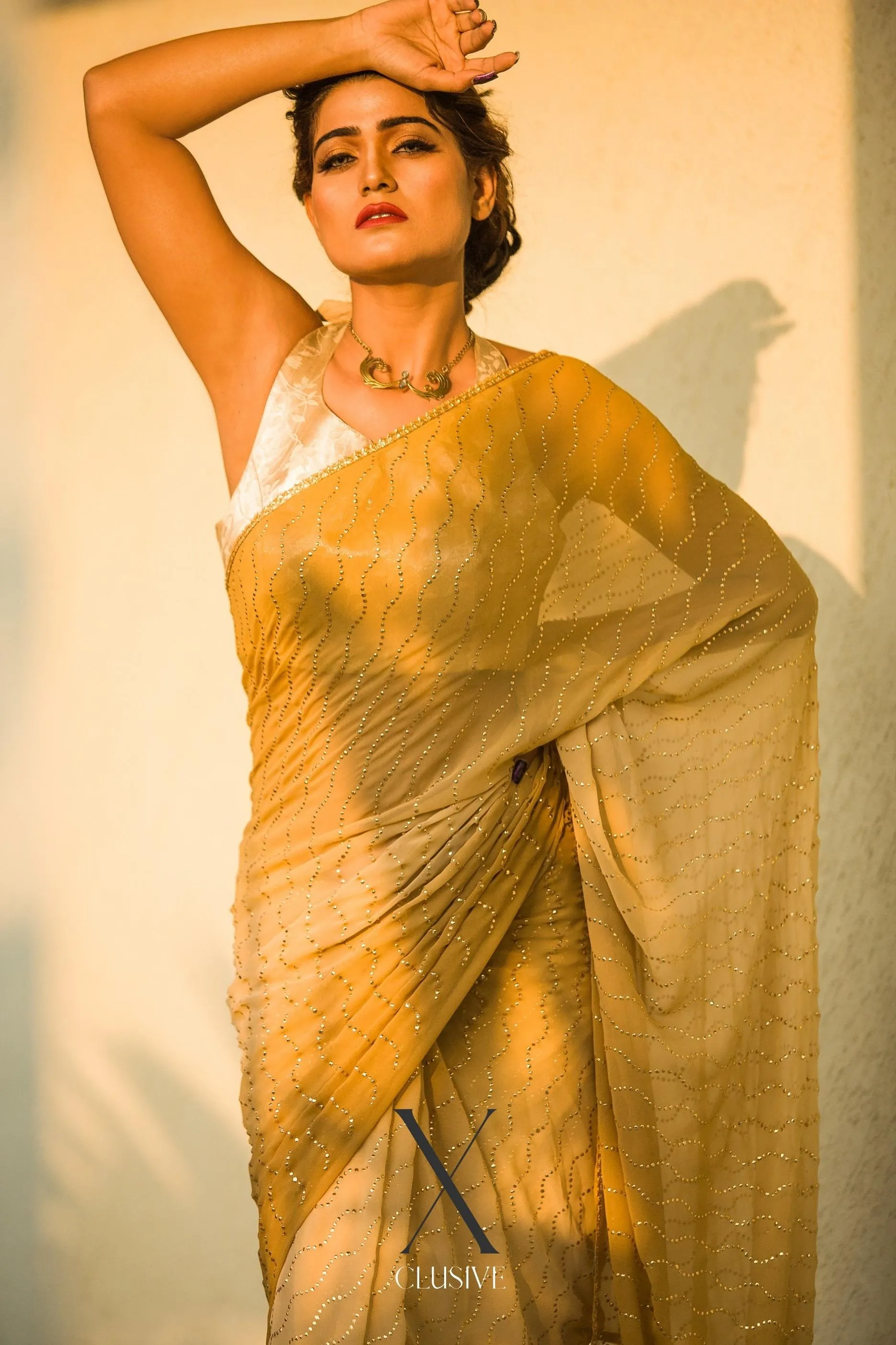 Butterscotch Blend Sequin Saree