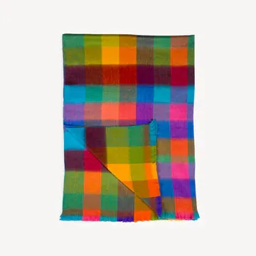 Fringed Multi Check Throw